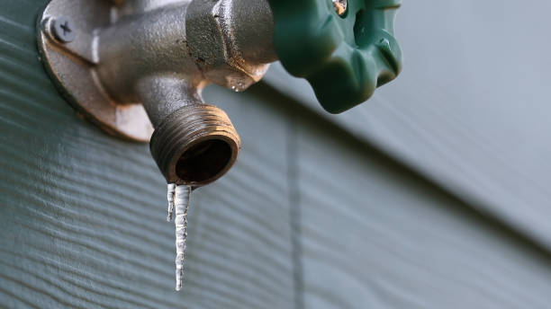 Best Drain Cleaning Services  in St Bernard, OH